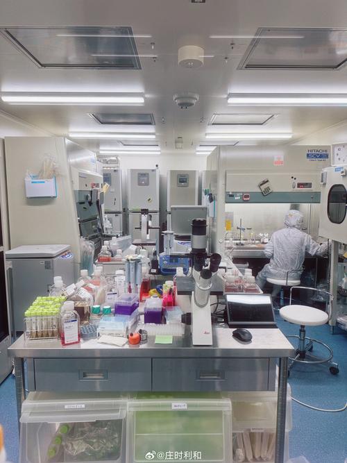 试管助孕机构常见问题深度解析与高成功率方案全指南