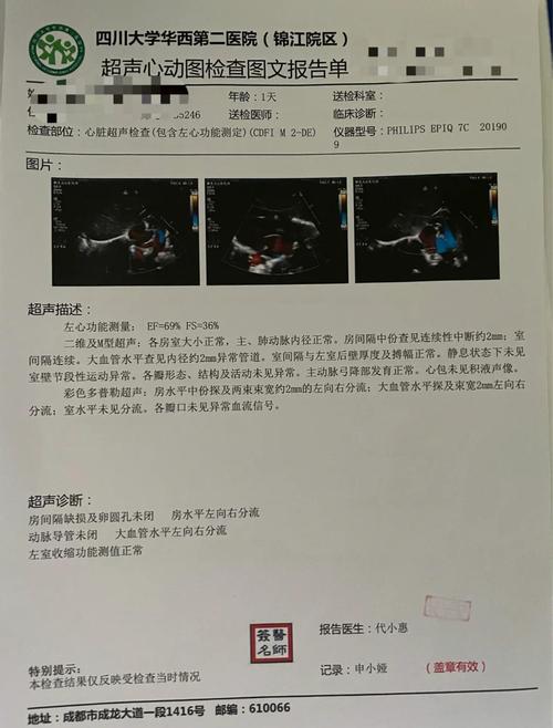 正规医院试管三代助孕全流程深度解析与实操避坑指南